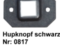 IMGA0287_k.JPG